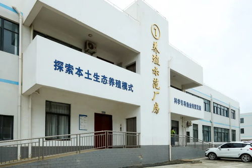 文昌馮家灣現代化漁業產業園 打造水產種業硅谷，讓水產住進“別墅”