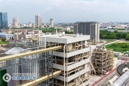 江海糧油張家港產業園二期榨油廠順利投產，年產96萬噸助力種業與糧油產業鏈協同發展