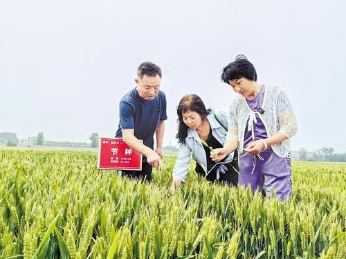 國家級展會賦能，洞見中國種業發展的新機遇