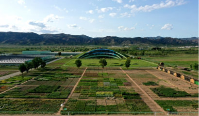 蒙草生態上市十周年 以種業為本，科研當先，深耕生態修復的“中國草”